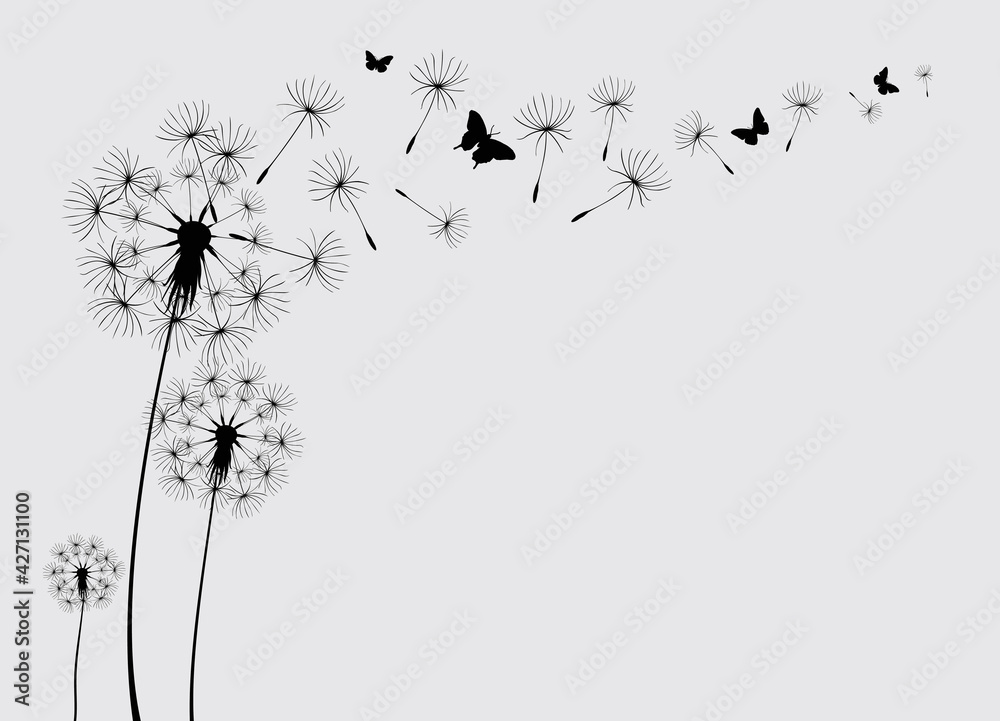 Dandelion with flying butterflies and seeds, vector illustration. Vector isolated decoration element from scattered silhouettes - obrazy, fototapety, plakaty 