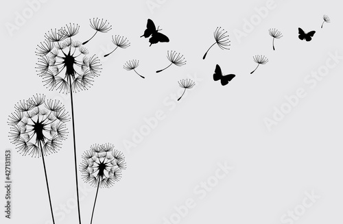 Dandelion with flying butterflies and seeds, vector illustration. Vector isolated decoration element from scattered silhouettes