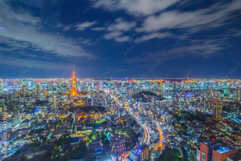 Fototapeta premium view of the city , Tokyo Japan