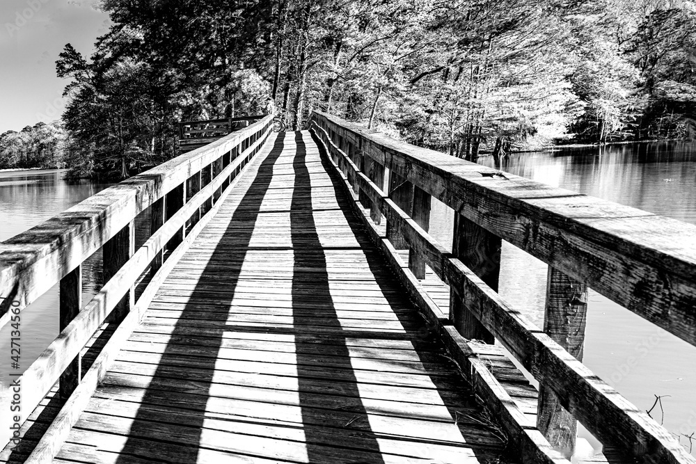Fototapeta premium bridge over lake