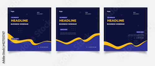 Business Webinar Social Media Post Template
