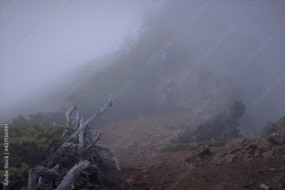 Fototapeta premium 八ヶ岳連峰での登山風景、縦走路