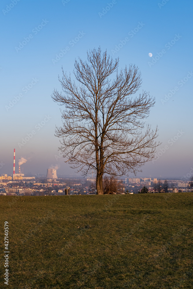 Obraz premium El árbol, la humanidad, la vida y la muerte. 