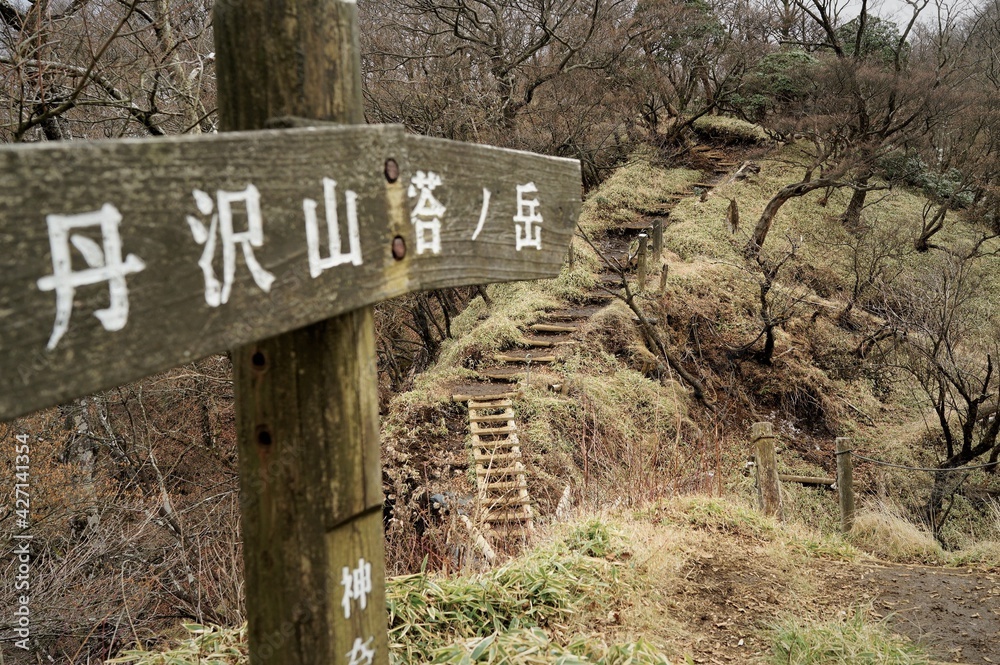 Obraz premium 丹沢山の登山風景、登山標識