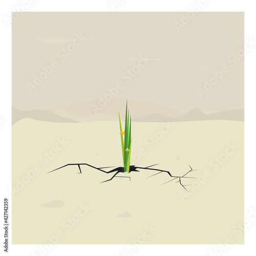 Strength and power of nature. A crack in the ground and a young sprout. Green grass, plant, flower grows through dry desert soil. Fragment of an oasis. Tropical landscape, environment. Vector 