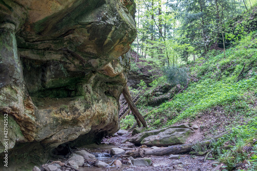 Deep ravines and limestone cliffs in southern Indiana USA