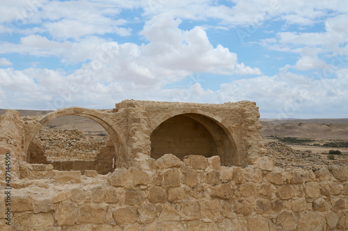 ruins of an ancient Nabatean city in the northern Negev