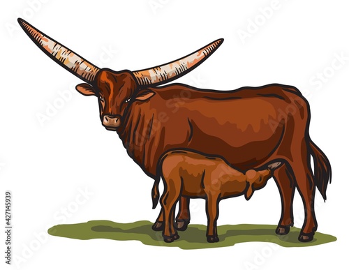 chicken breeding. animal husbandry. livestock. vector sketch on a white background
