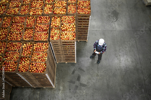 Top view of worker standing by apple fruit crates in organic food factory warehouse.