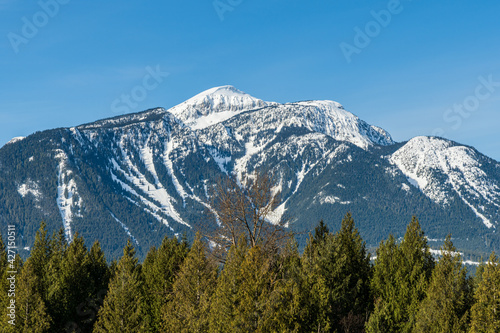 high mountains with snow on top clear blue sky behind trees British Columbia Canada