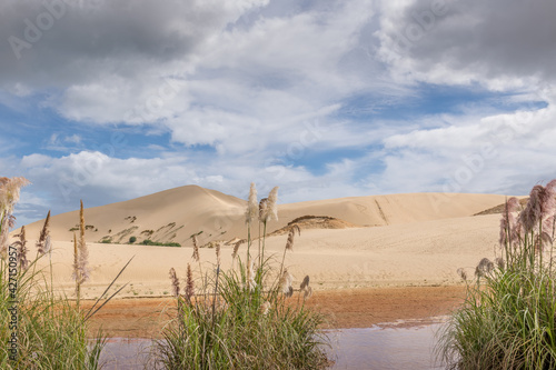 Fototapeta Naklejka Na Ścianę i Meble -  Te Paki Sand Dunes,  Northland , New Zealand
