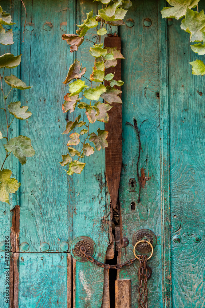 Old green wooden door with metal chain and door handles close-up Old green wooden door with metal chain and door handles close-up