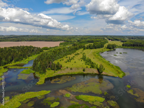 Aerial view of the shore of the pond (Ryabovo, Kirov region, Russia)