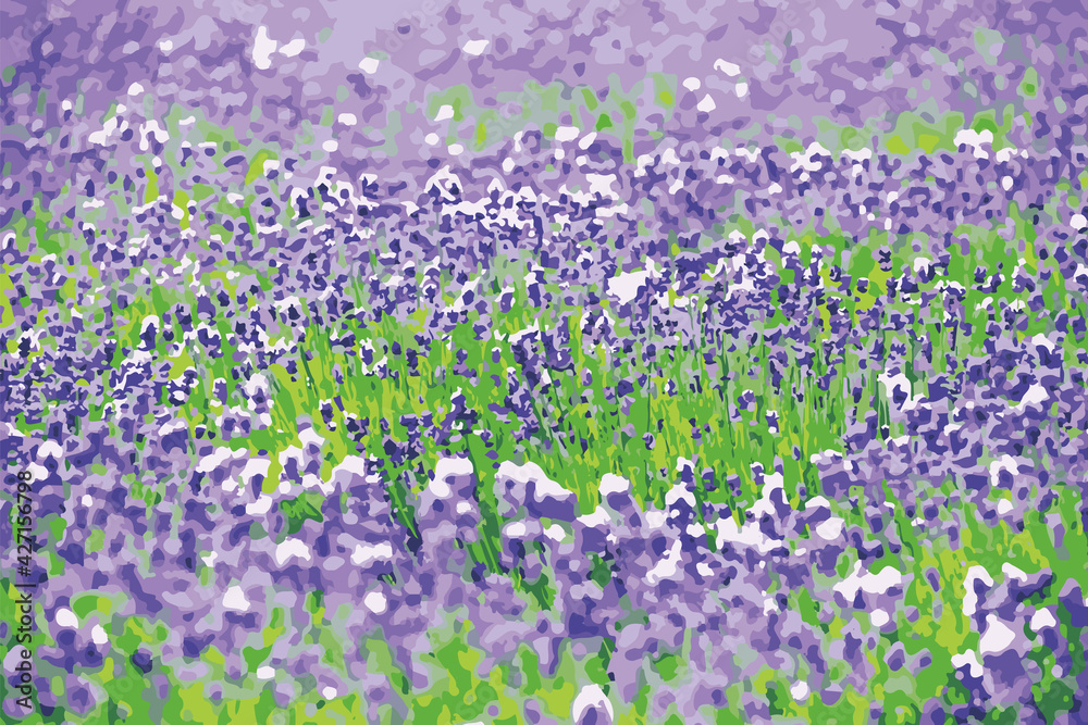夏の北海道ラベンダー畑背景49 夏の北海道ラベンダー畑背景49