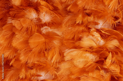 Beautiful orange colors tone feather texture background, trends color © nadtytok28