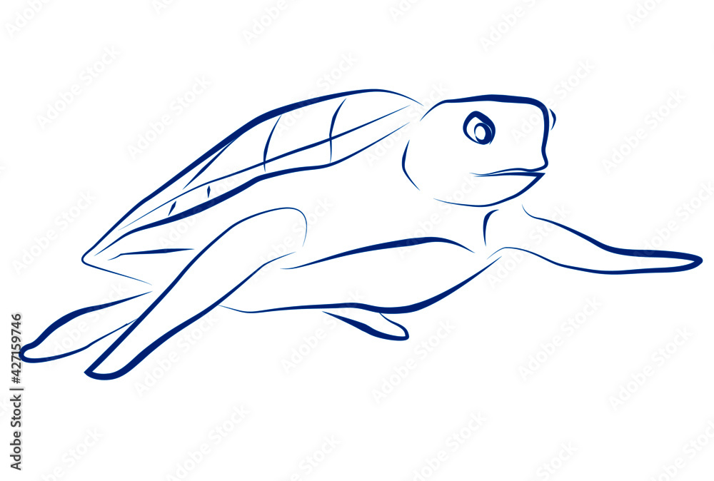 Obraz premium 海亀の線画スケッチ