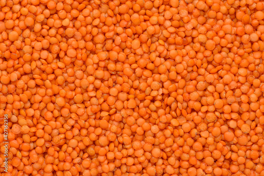 Close-up of red lentil seeds not cooked