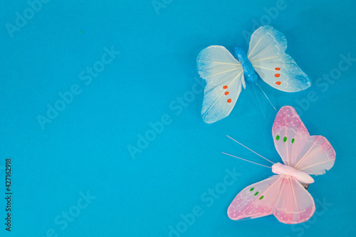 butterfly on a light blue background © Abraham