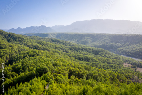 Summer lanscape in Koprulu Canyon National Park. Bright pine forest. Manavgat, Antalya, Turkey.