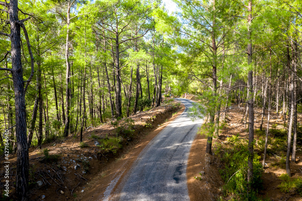 Koprulu Canyon National Park. A winding forest road stretching into the distance surrounded by pine trees. Manavgat, Antalya, Turkey. Koprulu Canyon National Park. A winding forest road stretching into the distance surrounded by pine trees. Manavgat, Antalya, Turkey.