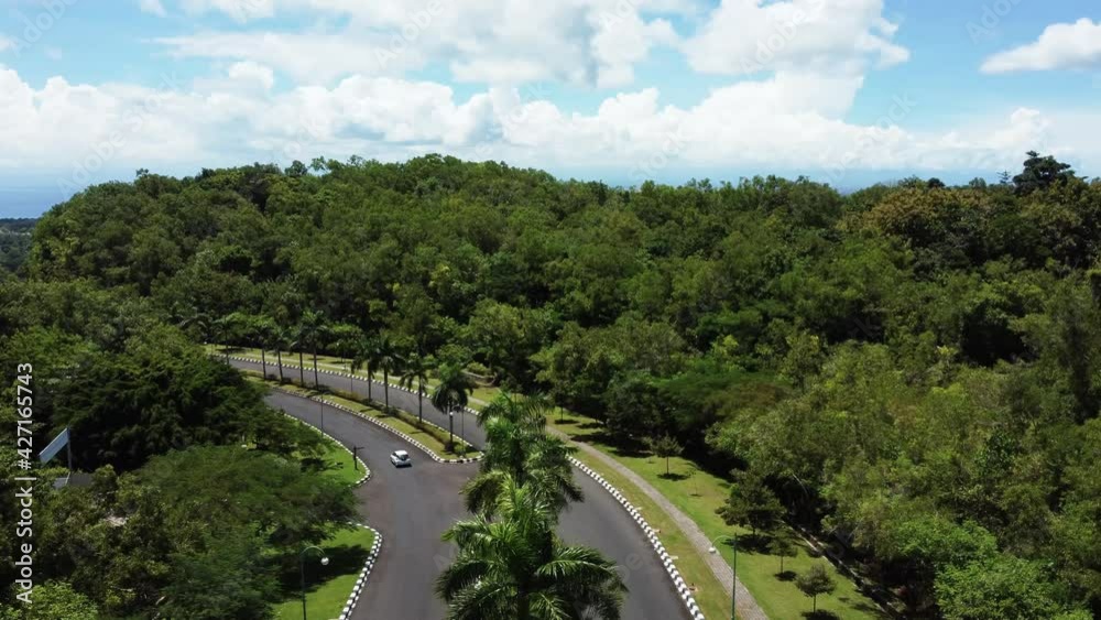 White car drive by road between green trees in sunny day with beautiful fluffy clouds on blue sky in Bali Indonesia. High quality 4k aerial footage White car drive by road between green trees in sunny day with beautiful fluffy clouds on blue sky in Bali Indonesia. High quality 4k aerial footage