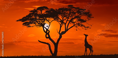 Fotografia Bright sunset with a big yellow sun over african savanna.