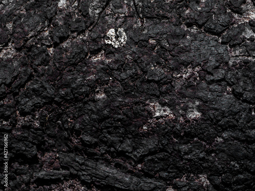 Close up of woode bark charcoal.