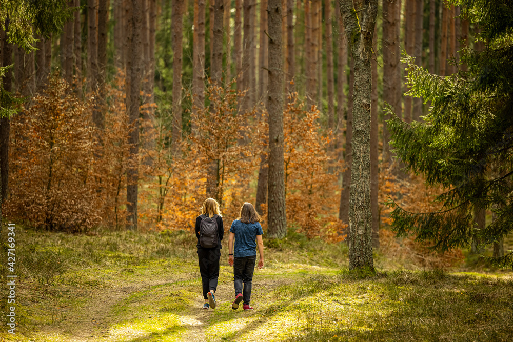 Early spring - a backpacking walk through a beautiful green forest - Poland, Warmia and Masuria