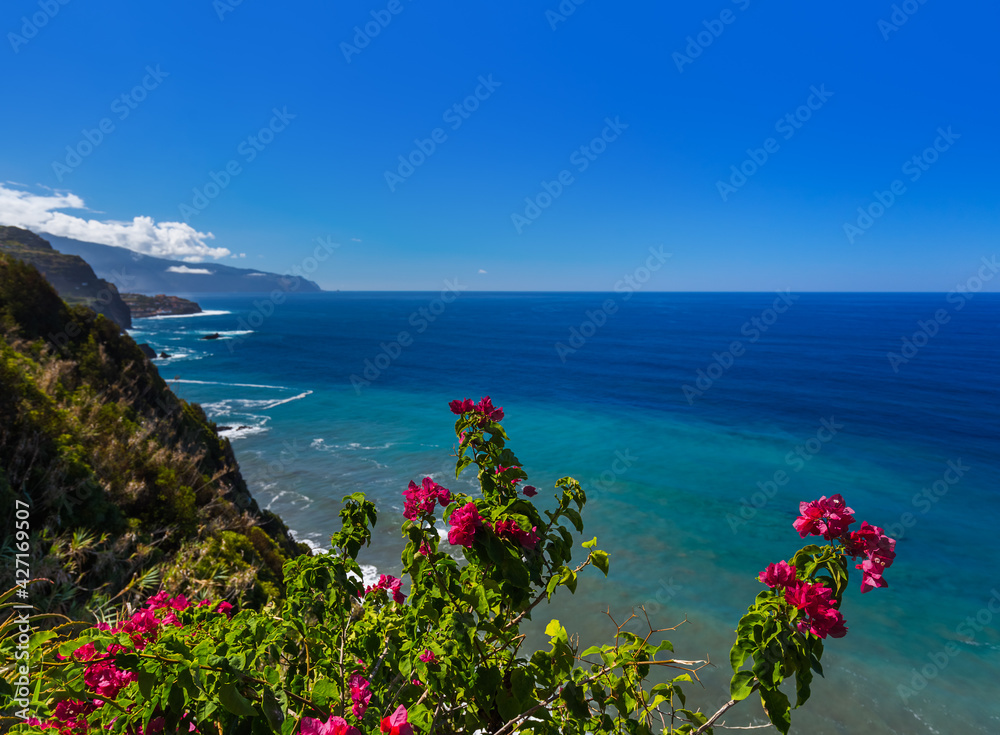 Flowers on coast in Boaventura - Madeira Portugal