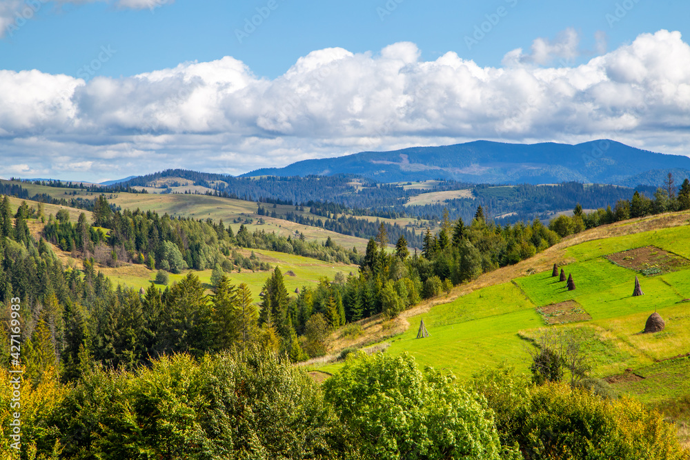 rural landscape of mountains and forests. Carpathians.