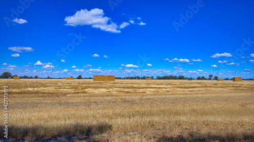 Large Hay Stacks on a Paddock Near Savernake