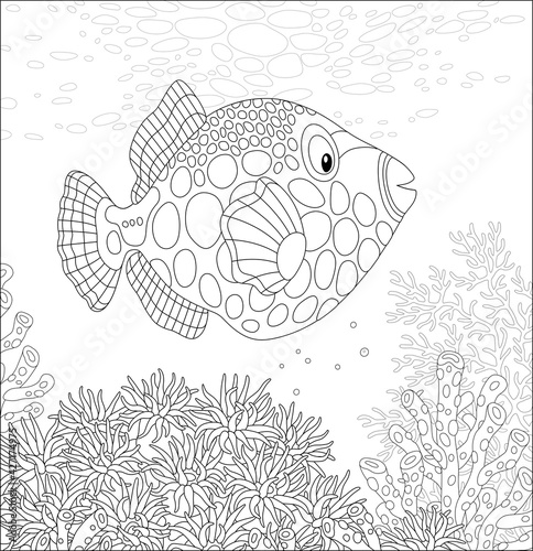 Exotic parrotfish swimming over stinging tentacles of an anemone in warm water of an amazing tropical coral reef in a southern sea, black and white vector cartoon