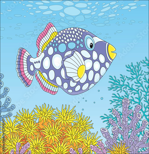 Exotic multi colored parrotfish swimming over stinging tentacles of a yellow anemone in blue water of an amazing tropical coral reef in a warm southern sea, vector cartoon illustration