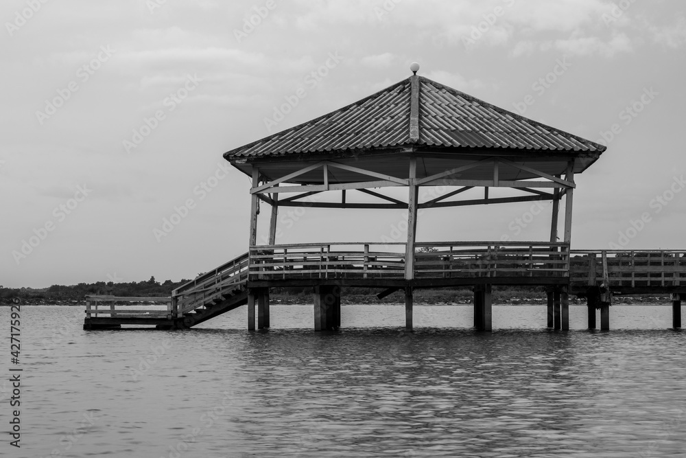 Black and White or bw photo image of single one or alone vintage pavilion in lake or swamp with birds at Phichit Thailand.
