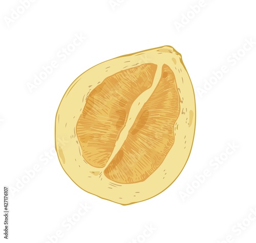Half of pomelo isolated on white background. Juicy pummelo slice. Fleshy pulp...