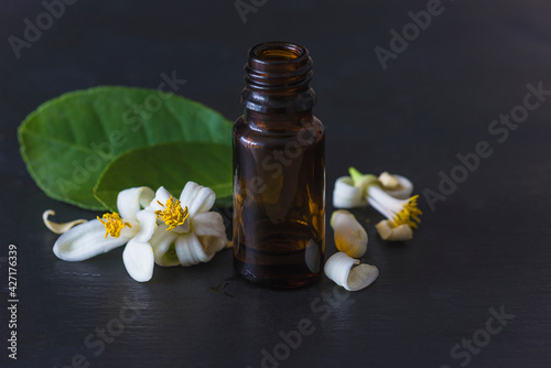 Citrus essential oil concept. White flowers of lemon or orange, green leaves and dark vial with essential oil on black slate background close up
