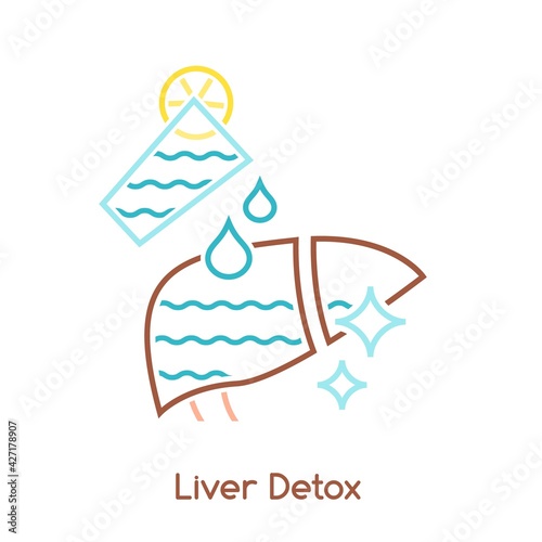 Liver detox icon. Linear medical pictogram. Detoxification sign.