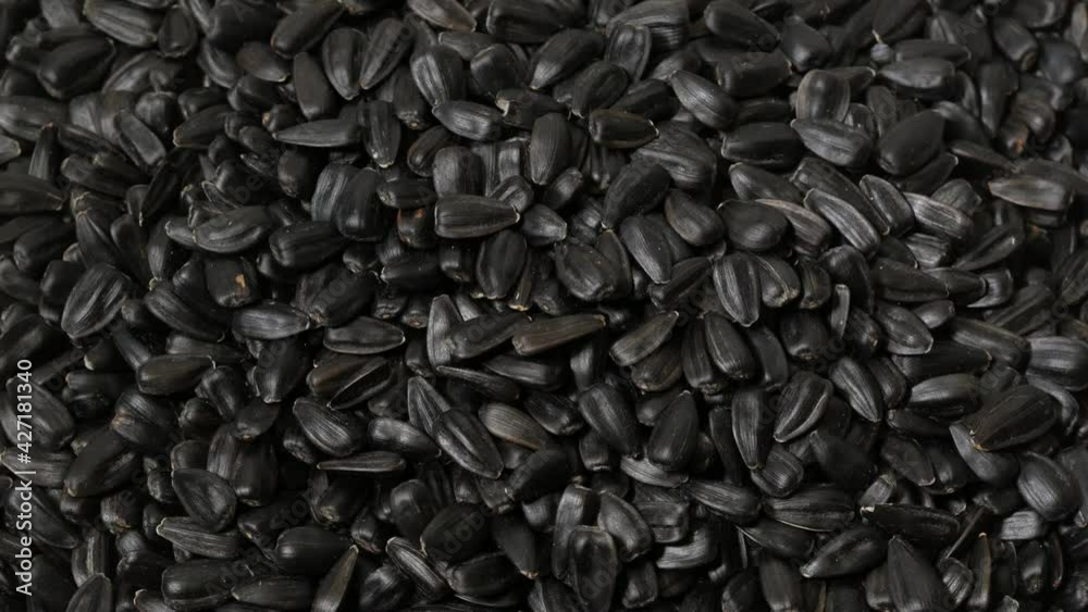 Sunflower seeds, rotation, close up, background Sunflower seeds, rotation, close up, background