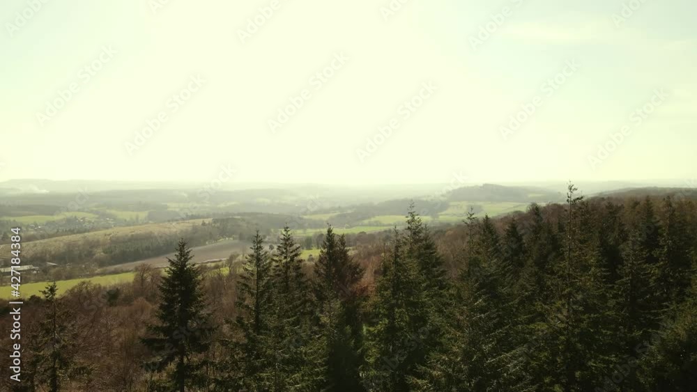 Beautiful aerial drone shot flying very close to pine trees revealing magical misty landscape Beautiful aerial drone shot flying very close to pine trees revealing magical misty landscape