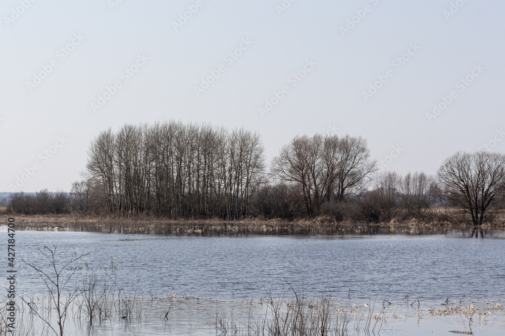 The river overflowed its banks. Spring flood of the river. The river overflowed its banks. Spring flood of the river.
