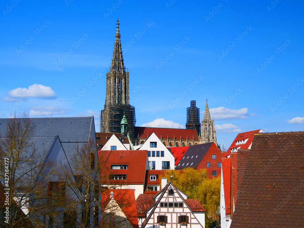 Obraz premium Ulm, Deutschland: Das Münster ragt hinter dem Fischerviertel auf