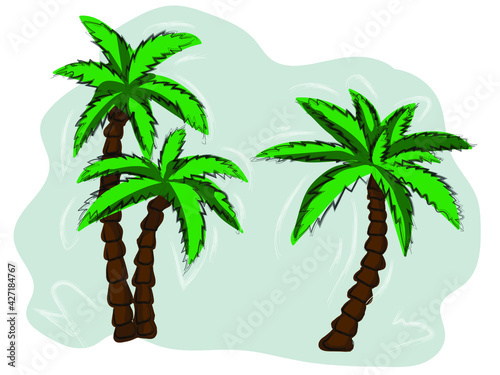 Hand-drawn  Tropical Palm trees.  Vector tropical trees illustration. 