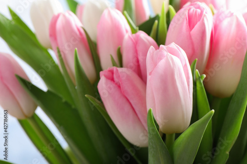 Big bouquet of beautiful tulips, closeup view