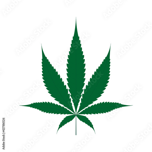 Marijuana leaf on white background, vector illustration of cannabis leaf.