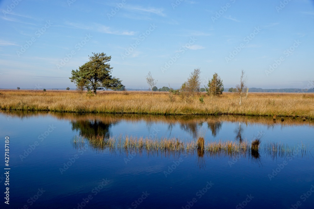 Reflecting pond in Dwingelderveld National Park in the Netherlands