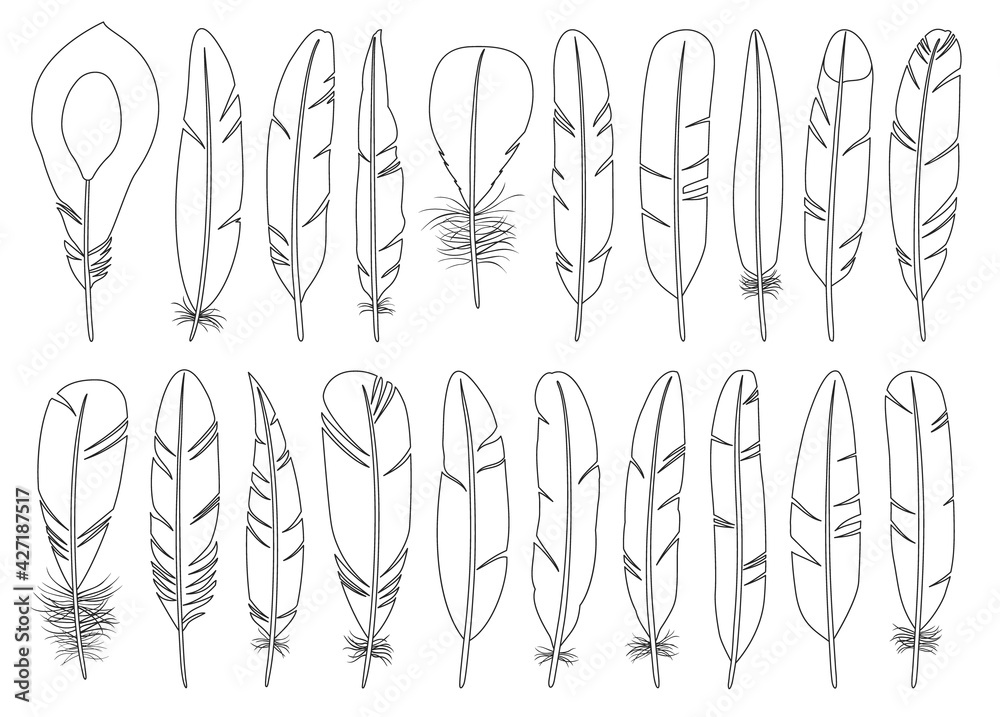 Feather of bird outline vector set illustration of icon.Feather pattern vector set of icon.Set illustration pen of bird on white background.