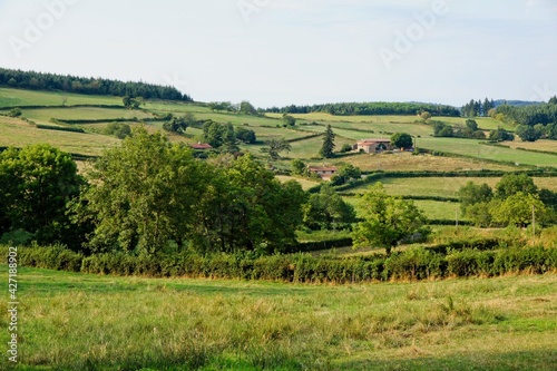 Countryside in the department of Sa  ne-et-Loire in Bourgogne-Franche-Comt   in France