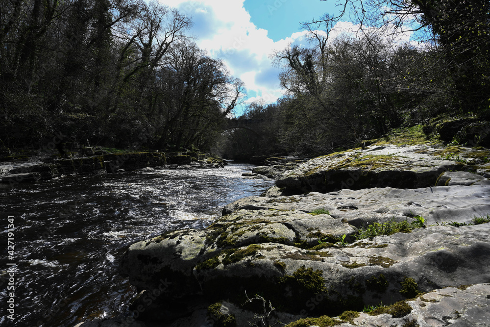 Obraz premium River Tees outside Barnard Castle with bridge outside Startforth
