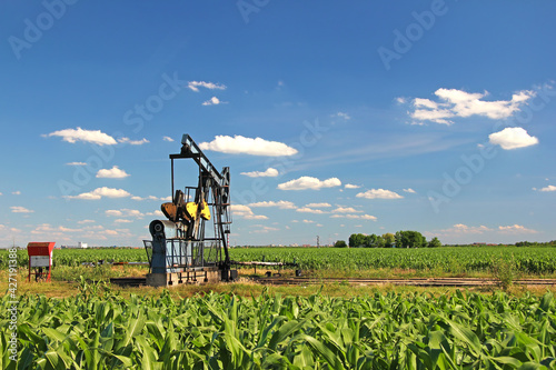 Oil pump jack in a corn field, beautiful sunny summer day with clouds in the blue sky