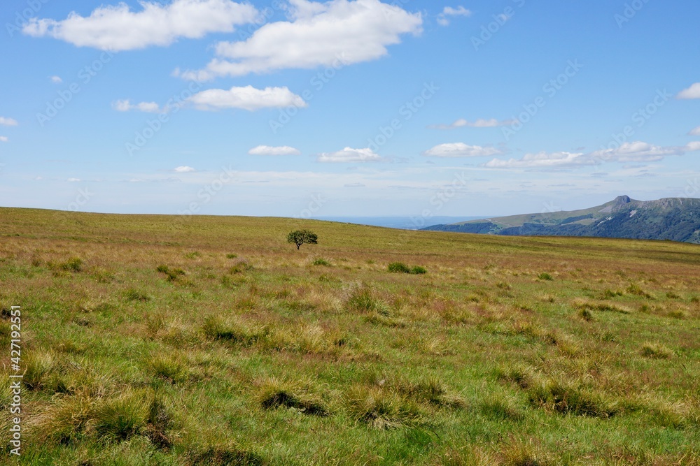 Fototapeta premium Col de la Croix Saint-Robert in Puy-de-Dôme in Central France